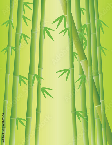 Bamboo Forest © gampingdesign