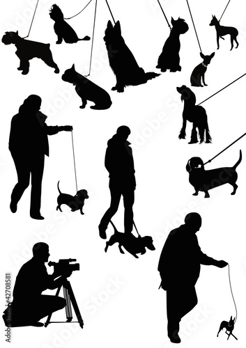 exhibition of dogs animals