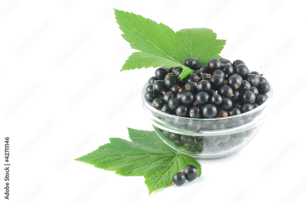 Black currant, green leaves and berries scattered Black currant, green leaves and berries scattered