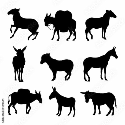 Donkeys Silhouette detailed