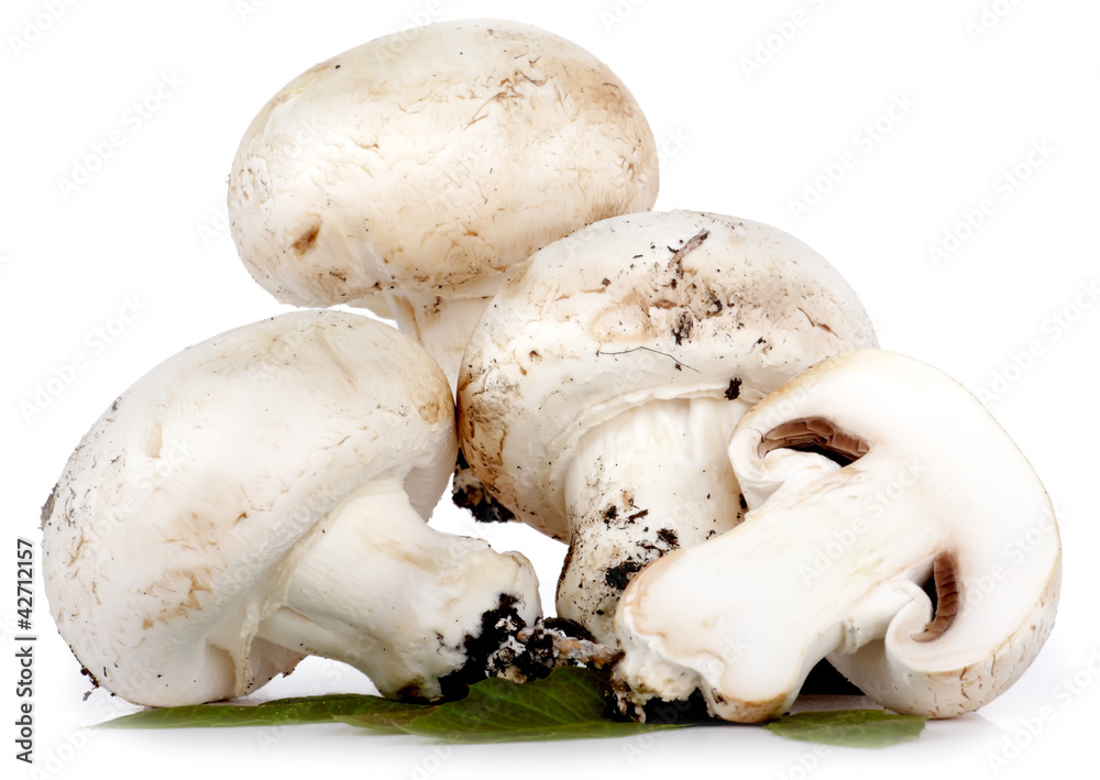 Champignon freschi Champignon freschi