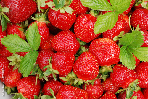 Ripe both large strawberry and leaves