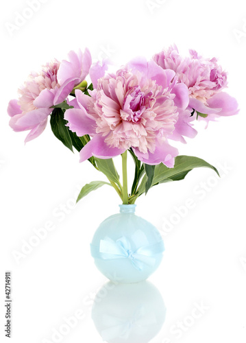 Three pink peonies in vase isolated on white