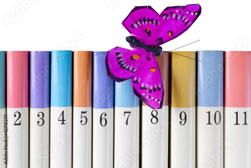 Books with a Silk Butterfly