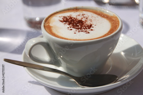 Kaffeezeit: Wiener Kaffee / Cappuccino