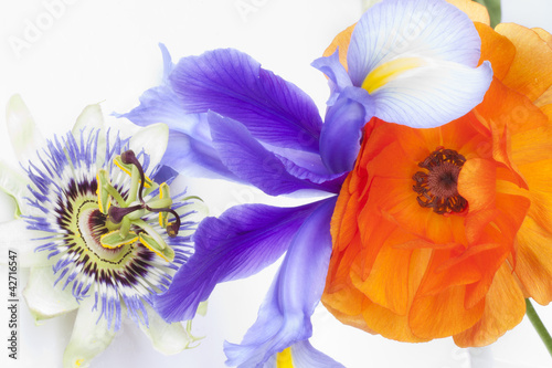Arreglo floral (passiflora,iris y ranunculo) photo