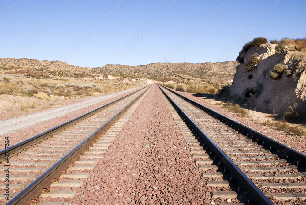 Two railway tracks in the desert