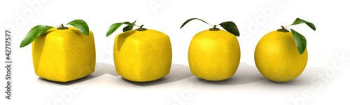 Lemon evolution