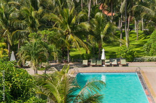 Beach hotel resort swimming pool surrounded by palm trees photo