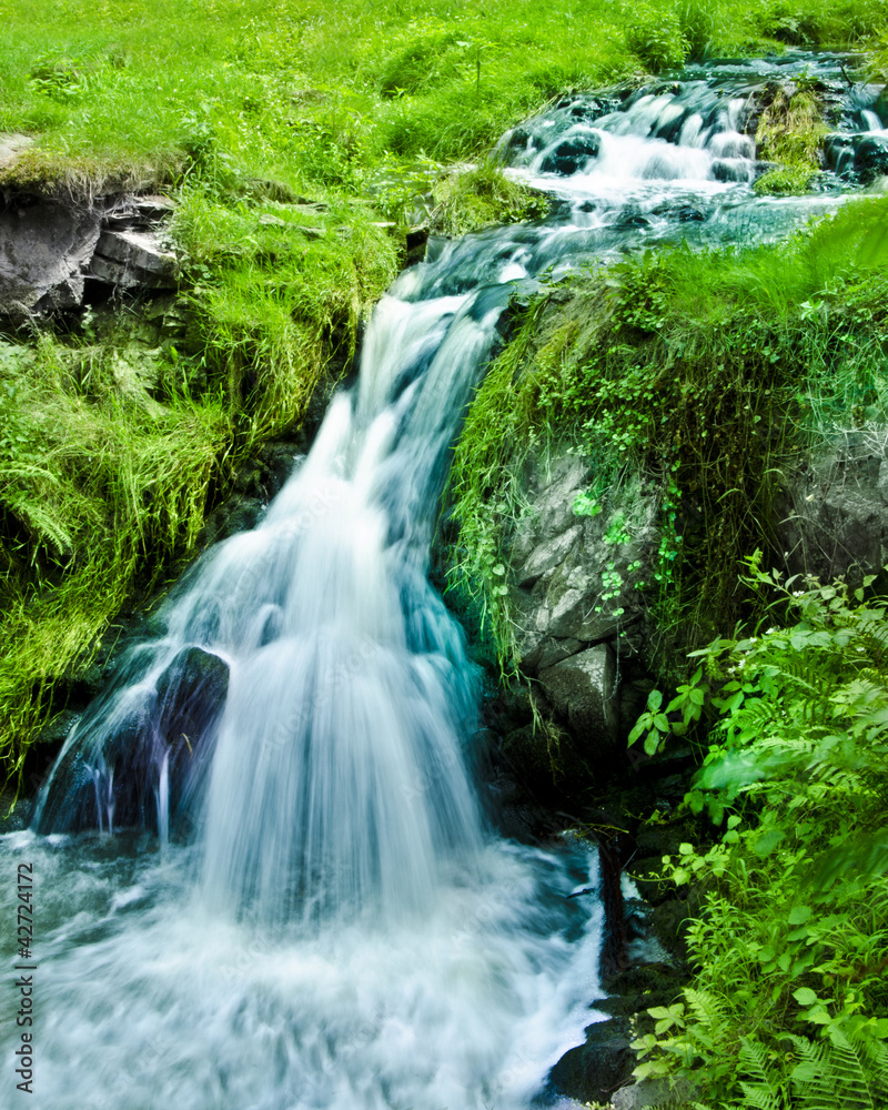 Fototapeta premium waterfall