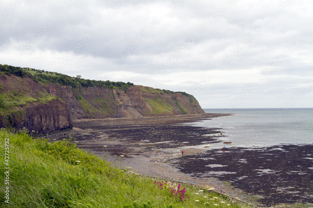 The cliffs at Robin hoods bay The cliffs at Robin hoods bay