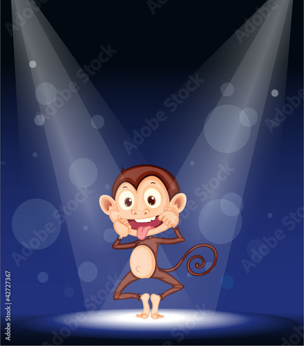 a monkey on stage