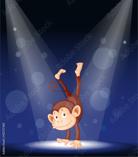 a monkey on stage