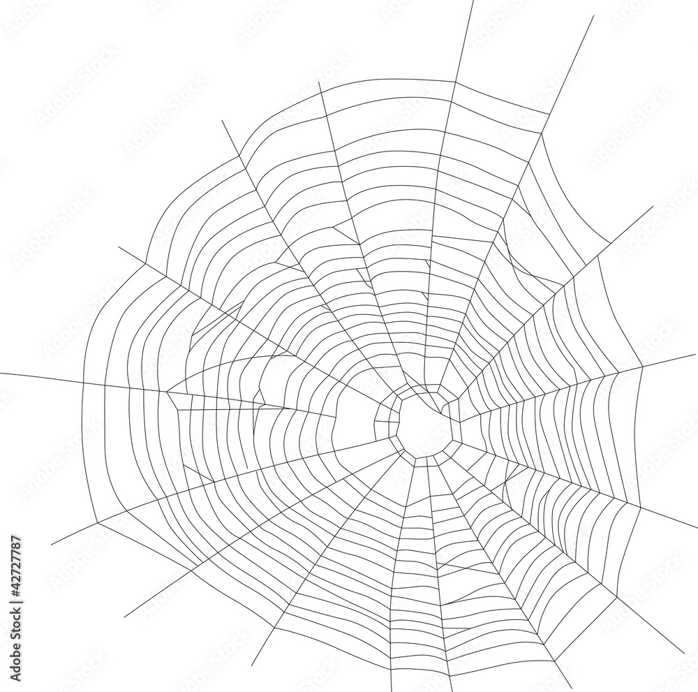 spider black web illustration