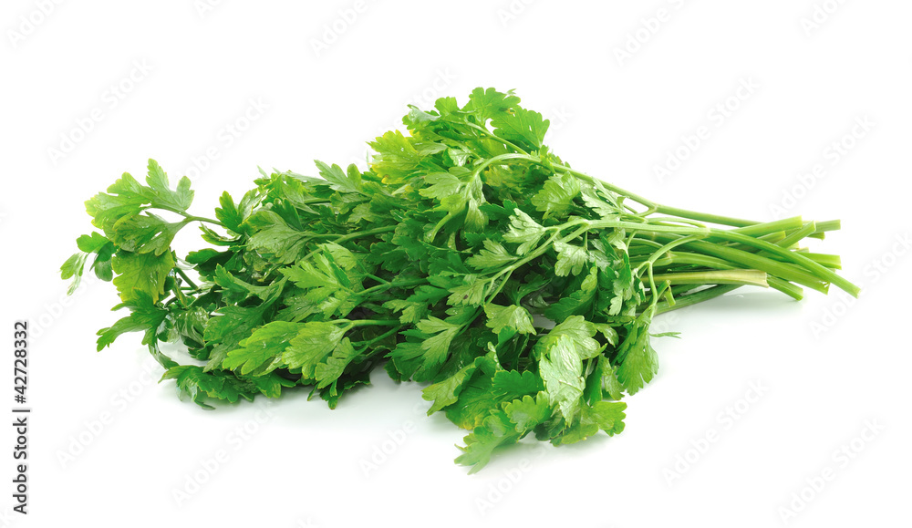 parsley isolated on white parsley isolated on white