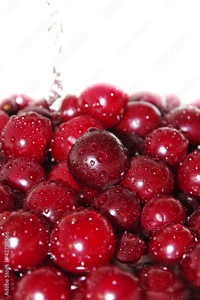 Juicy cherry in water Juicy cherry in water