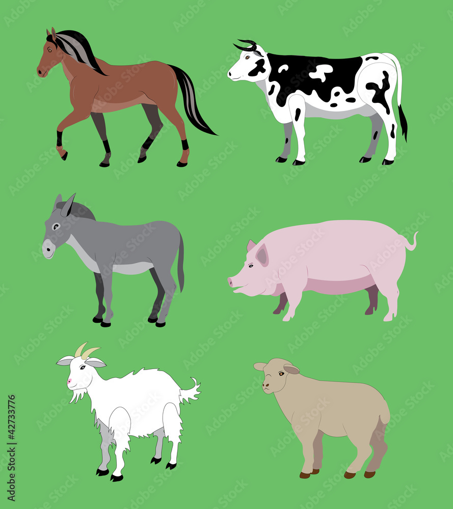 Agricultural animals