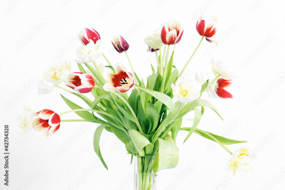 red and yellow tulips