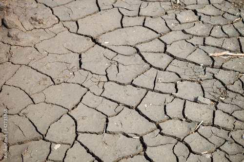Dry cracked ground - the effect of drought.