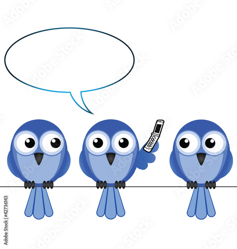 Bird on mobile phone copy space for own text