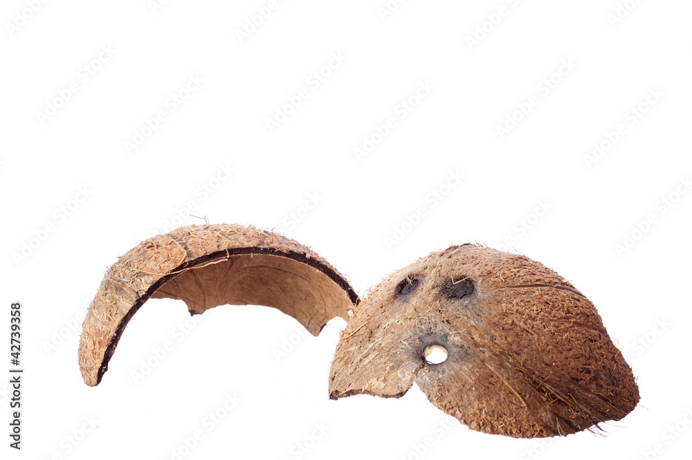 Obraz premium Coconut shell