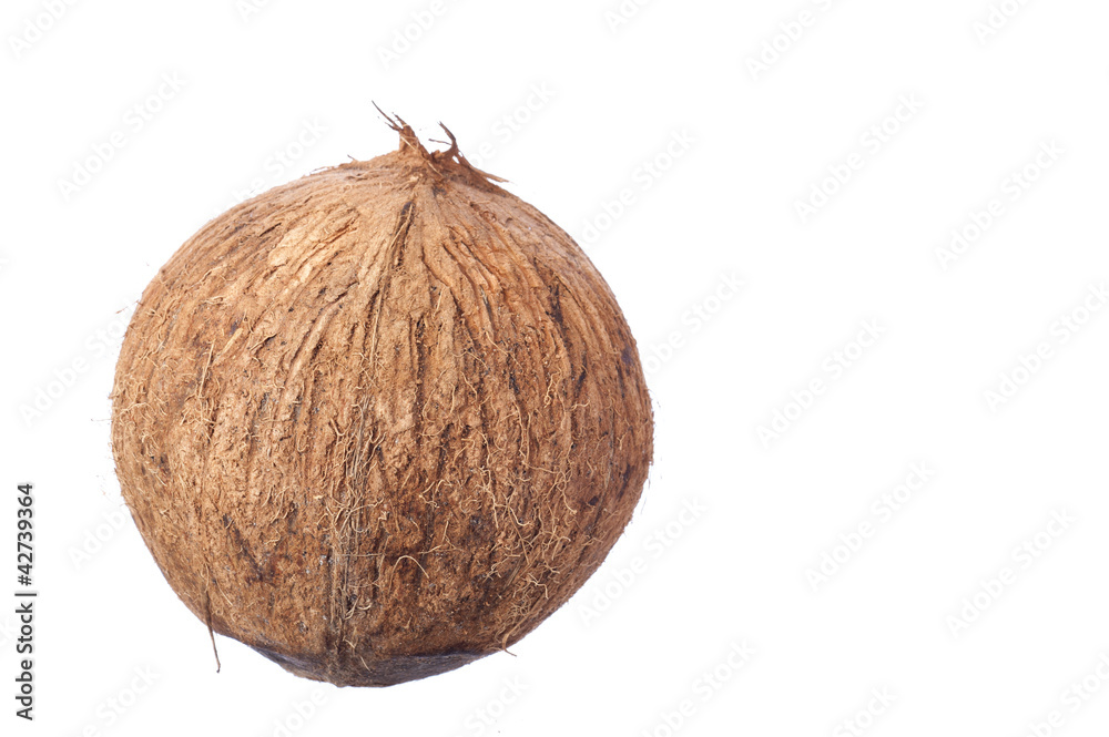 Coconut Coconut
