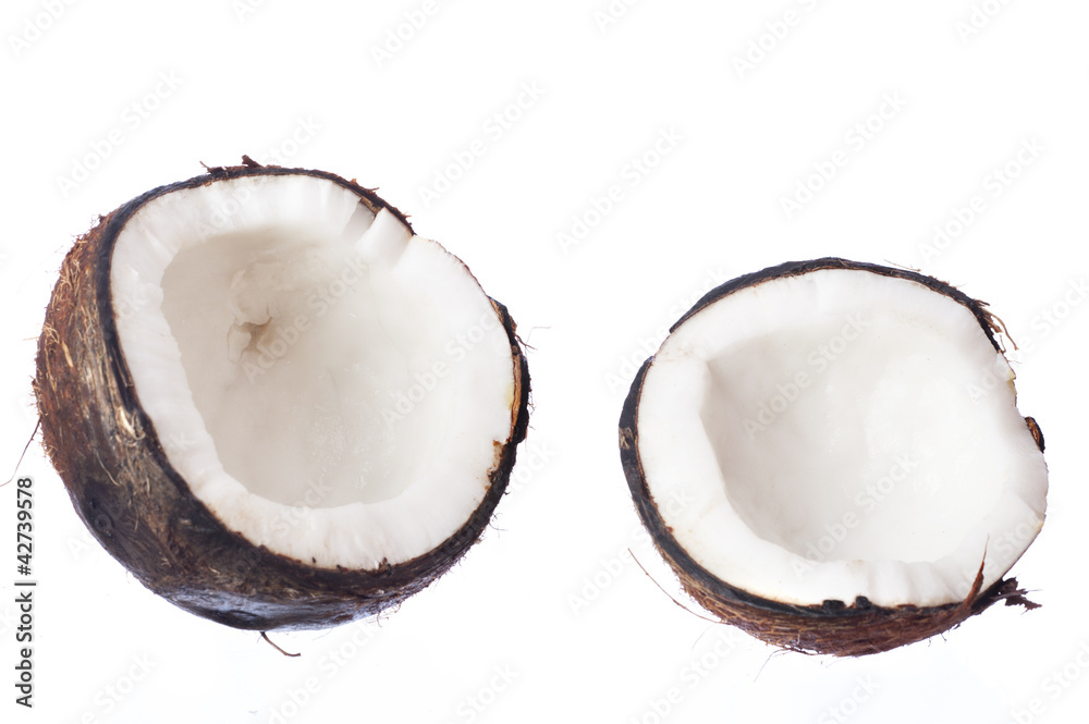 Coconut Coconut