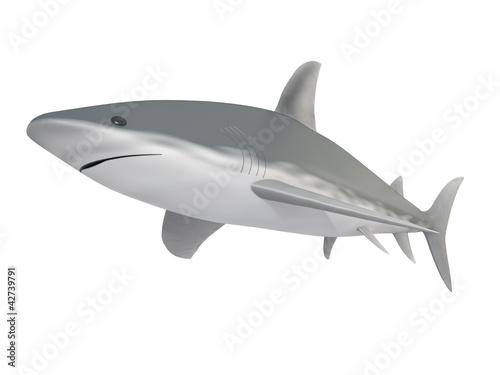 shark on a white background