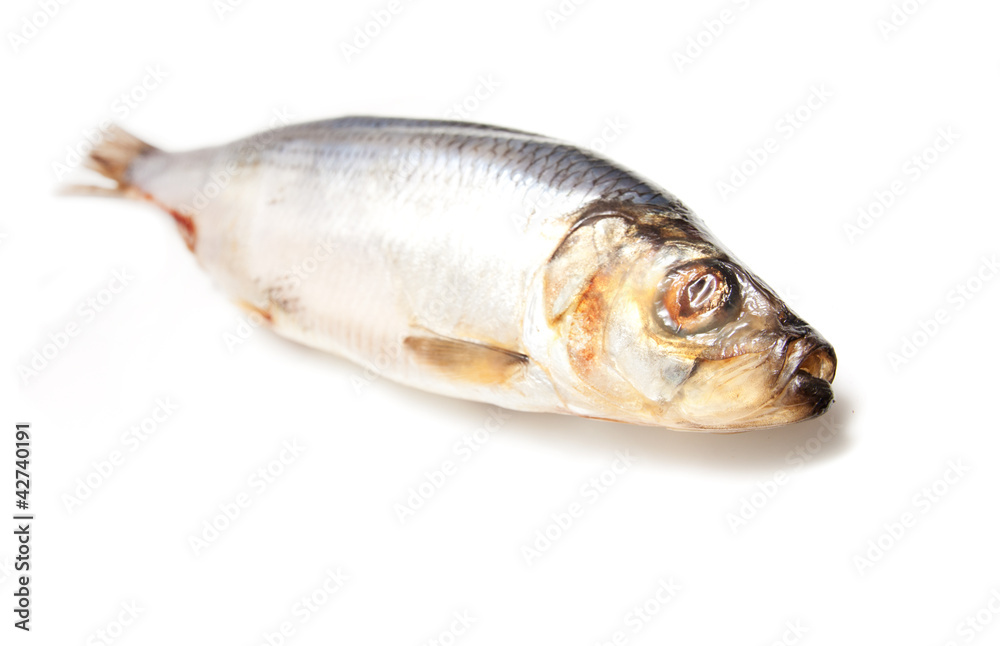 Fresh herring fish isolated on white background Fresh herring fish isolated on white background