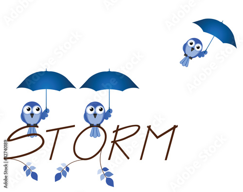 Storm twig text isolated on white background