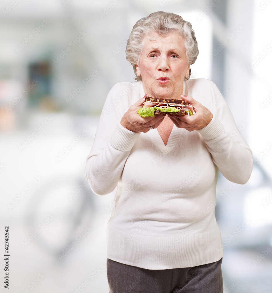 portrait of senior woman holding a delicious sandwich indoor portrait of senior woman holding a delicious sandwich indoor