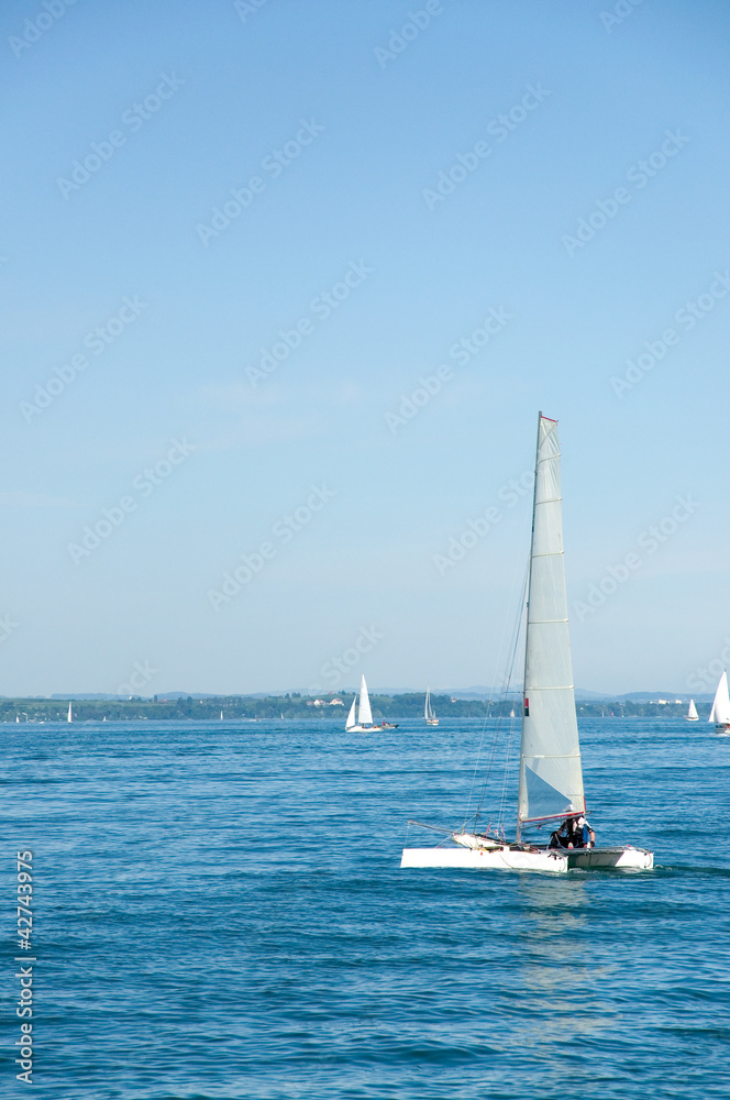 Fototapeta premium Segelboote am Bodensee