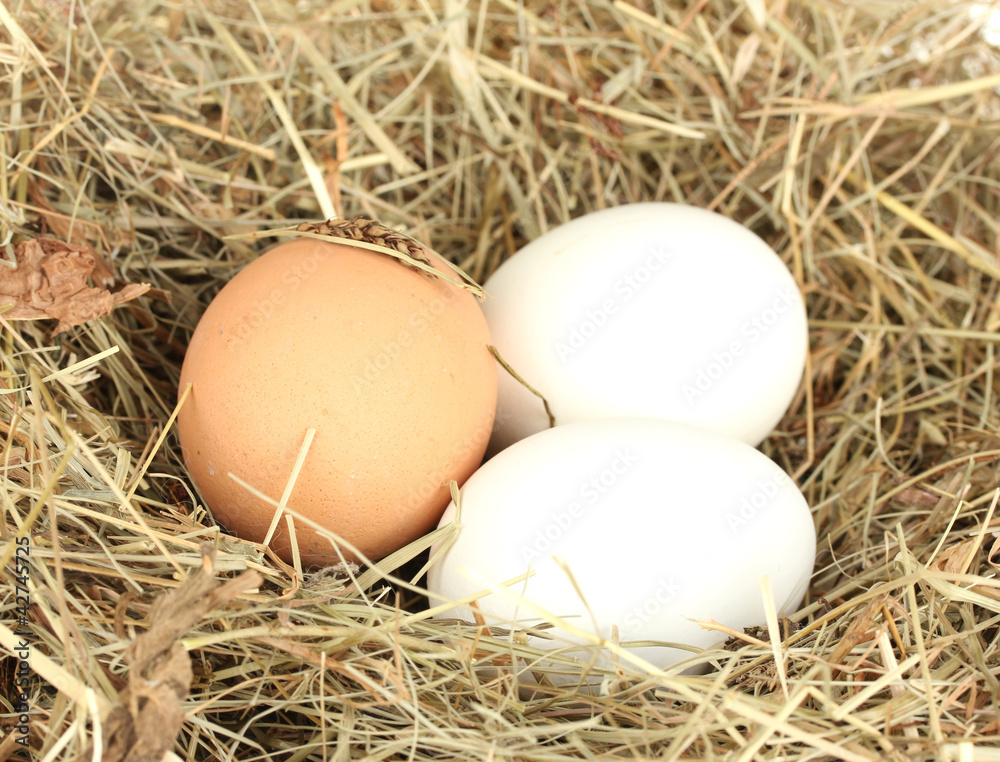 brown and white eggs in a nest of hay close-up