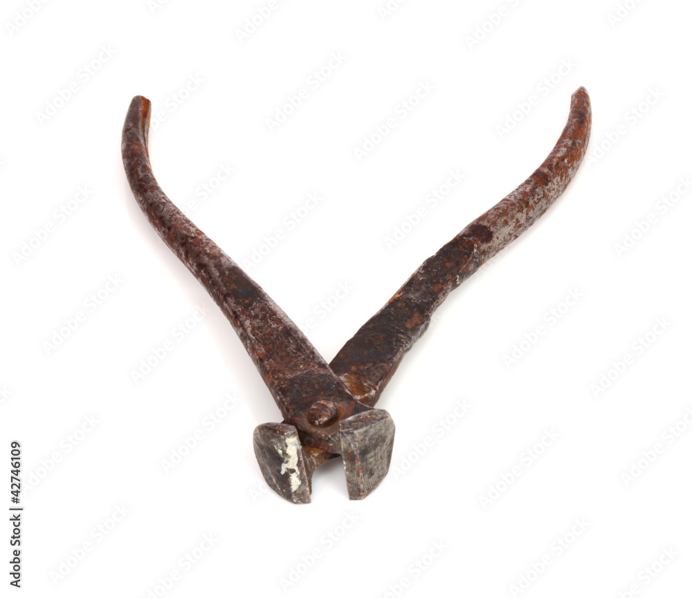 Obraz premium Nippers for wire and nails