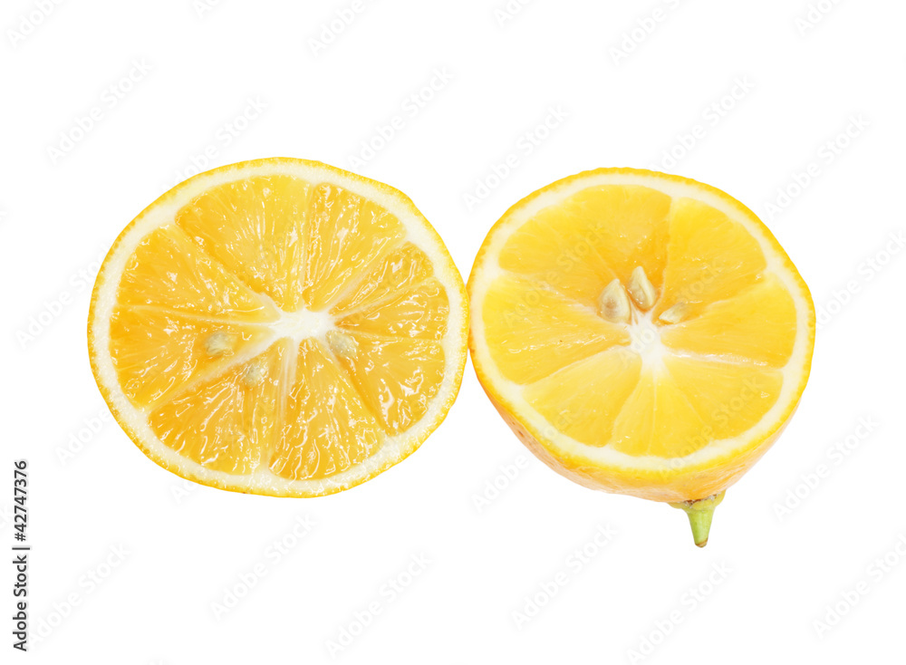 lemon on a white background lemon on a white background