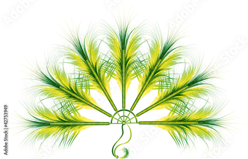 feather fan
