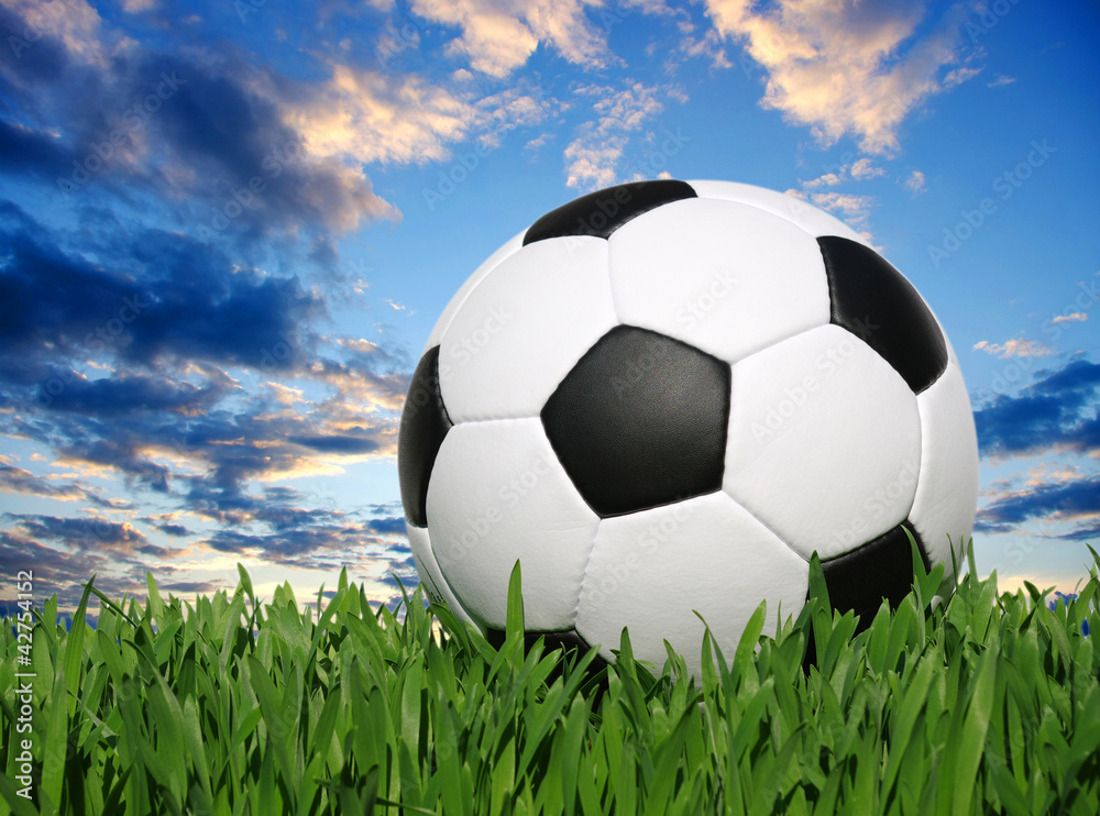 Fototapeta premium football