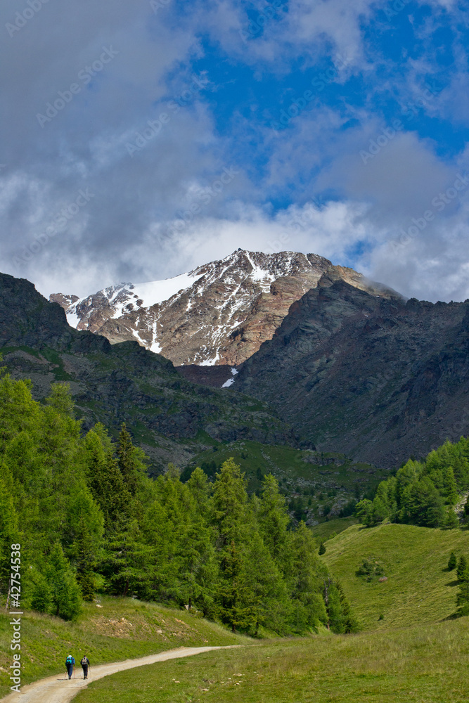 Val di Pejo - Parco Nazionale dello Stelvio