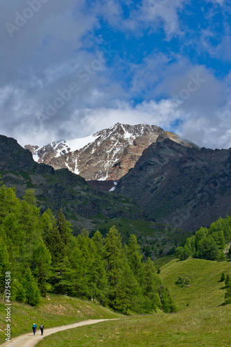 Val di Pejo - Parco Nazionale dello Stelvio © euclem