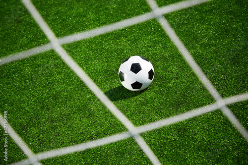 Soccer ball and goal net