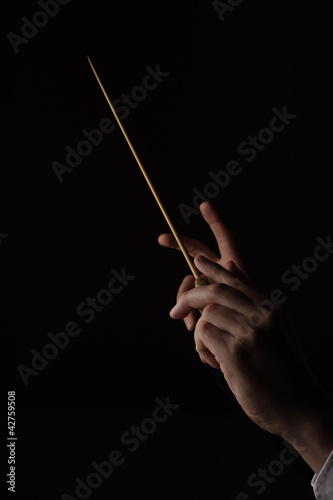 Hands of a conductor photo