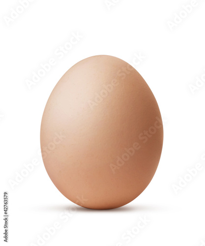 brown egg isolated on white background with clipping path
