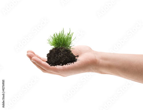 Grasbüschel mit Erde in der Hand