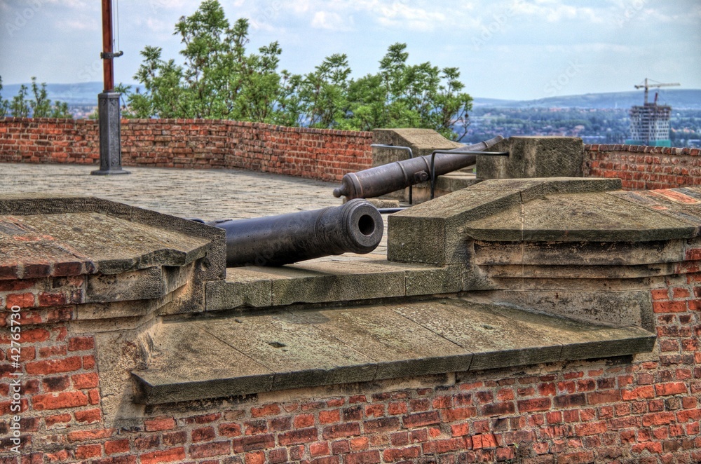 The Castle guns