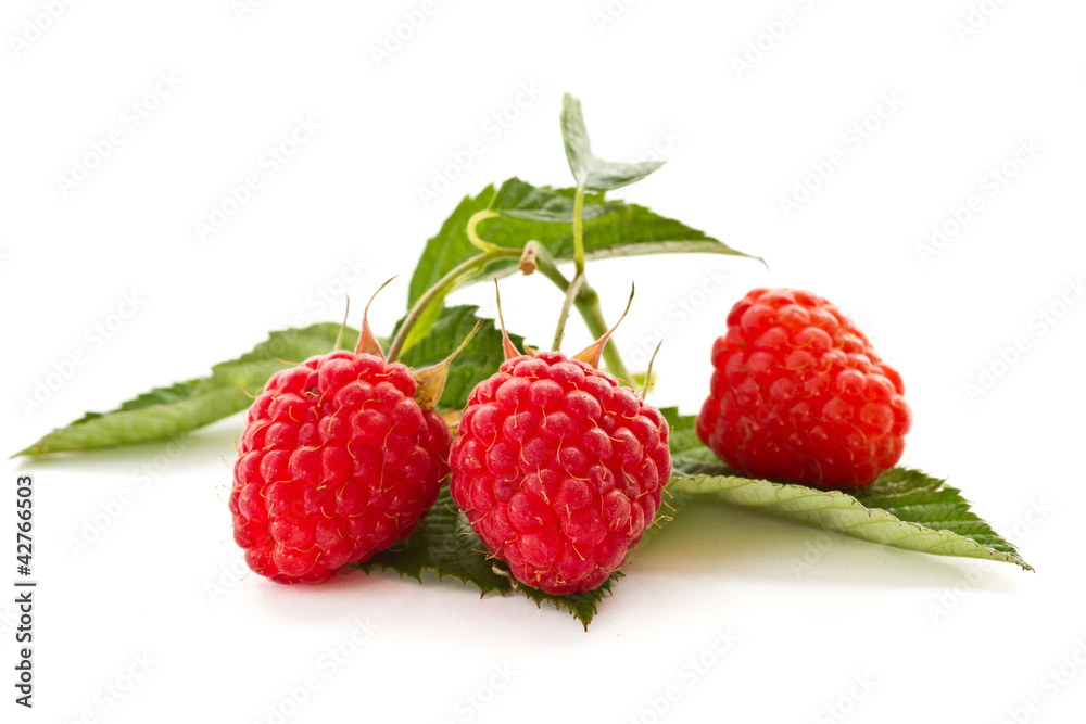 raspberry