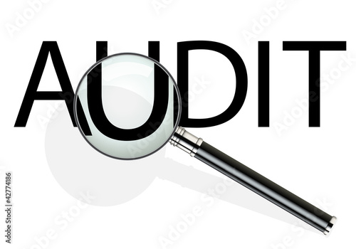 Loupe_Audit