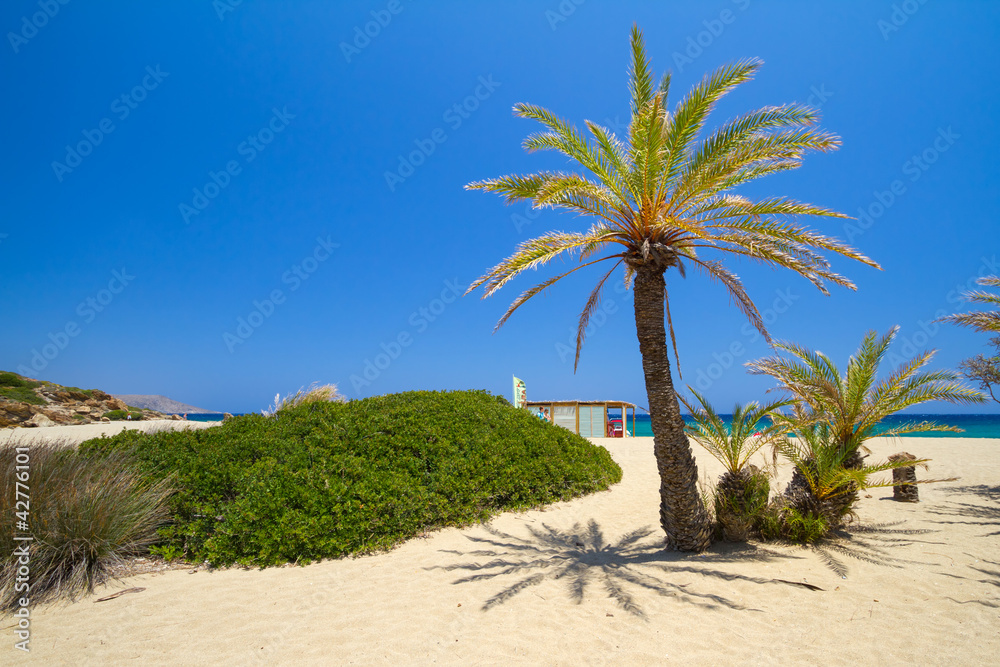 Wunschmotiv: Beach Vai called "Bounty beach" on Crete, Greece #42776101