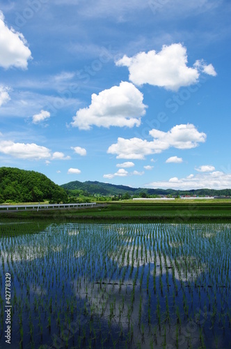 Fotografía 対称の対照