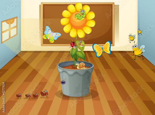 various insects in a classroom