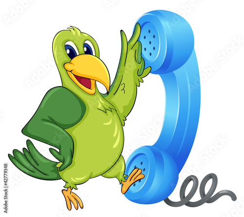 a bird with receiver